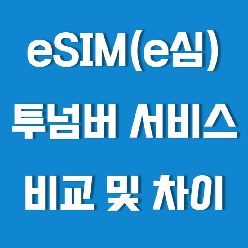 eSIM(e심)과 투넘버 서비스 차이